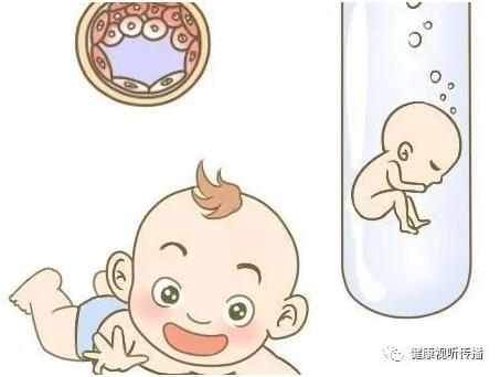 胚胎实验室